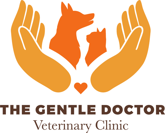 The Gentle Doctor